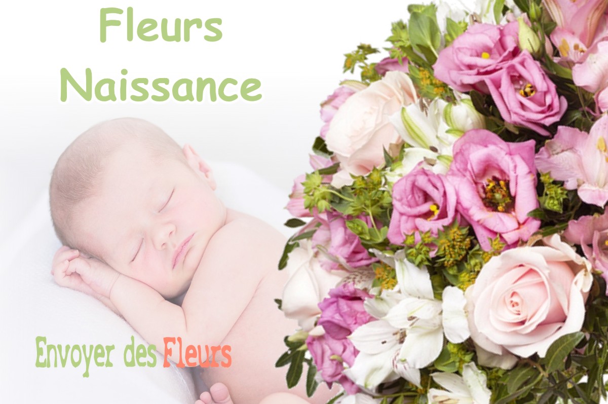 lIVRAISON FLEURS NAISSANCE à BOVIOLLES